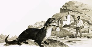Lontra con pesce e uomo che pesca