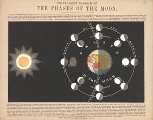 Diagramma trasparente delle fasi della luna