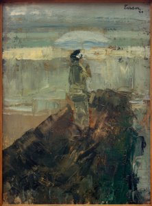 La signora sul frangiflutti da James Sidney Ensor