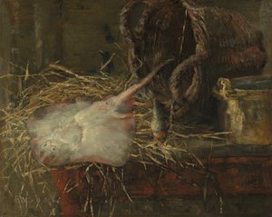 La razza da James Ensor