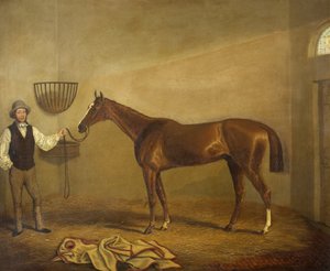 Bravissimo, vincitore della Monmouthshire Hunt Cup ad Abergavenny da James Flewitt Mullock
