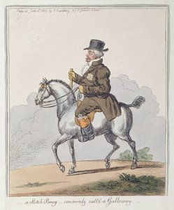 Un Pony Scozzese, comunemente chiamato Galloway, pubblicato da Hannah Humphrey nel 1803 da James Gillray