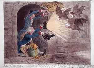 Cattura di Pipistrelli