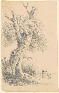 Albero vicino alla riva da James Goodwyn Clonney