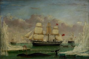 La baleniera 