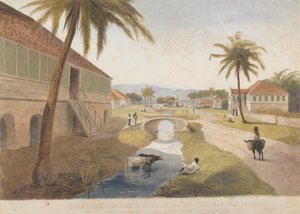 Tenuta Holland, St. Thomas in the East, Giamaica