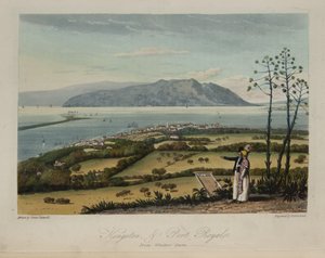 Kingston e Port Royale da James Hakewill