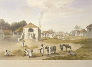 Cortile del mulino, Holland Estate, St. Thomas in the East