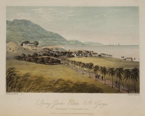 Tenuta di Spring Garden, St. George