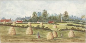 Chirton da Meadowell Farm