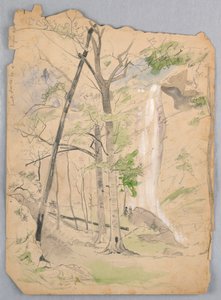 Cascata da James Henry Moser