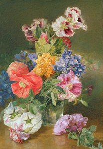 Rose, papavero e pelargonia da James Holland