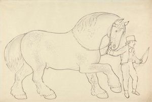 Cavallo da Tiro Condotto da James Howe