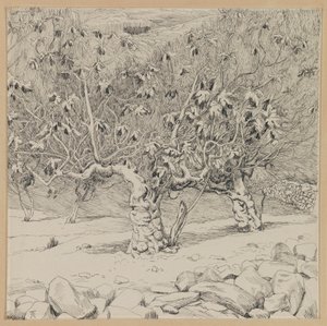Fico, Valle di Hinnom, illustrazione da La vita di Nostro Signore Gesù Cristo da James Jacques Joseph Tissot