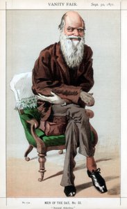 Selezione naturale, 1871 da James Jacques Joseph Tissot