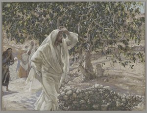 Il fico maledetto, illustrazione da La vita di Nostro Signore Gesù Cristo, 1886-94