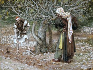 Il fico sterile, illustrazione per La vita di Cristo, c.1886-94 da James Jacques Joseph Tissot