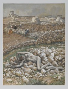 Il figlio della vigna, illustrazione da 