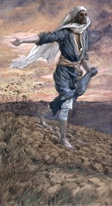 Il seminatore, illustrazione per La vita di Cristo, c.1886-94 da James Jacques Joseph Tissot