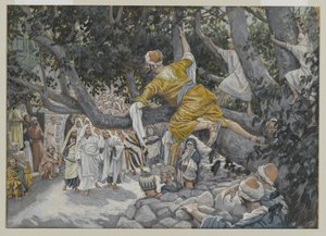 Zaccheo nel sicomoro in attesa del passaggio di Gesù, illustrazione da La vita di Nostro Signore Gesù Cristo, 1886-96
