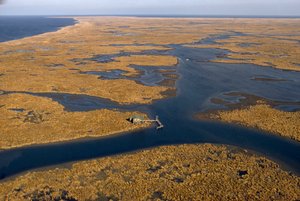 Una casa su palafitte di un pescatore di ostriche sopra una vasta distesa di erba palustre. Aerea, Mississippi... da James L Stanfield