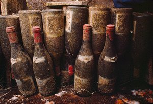 Bottiglie di vino rosso, coperte di muffa, invecchiano in una cantina. Tain-L