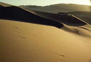 Vista delle dune tagliate nettamente in ombra vicino a Dunhuang. Provincia di Gansu, Repubblica Popolare Cinese.