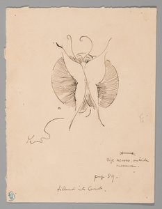 Farfalla (recto); frammento di farfalla (verso) da James McNeill Whistler