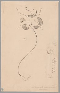 Farfalla (recto); Studio di farfalla (verso) da James McNeill Whistler