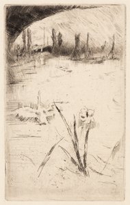 Schizzo dopo il "Cigno e Iris" di Cecil Lawson