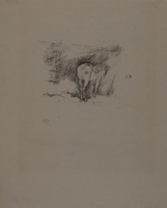 Studio di un cavallo