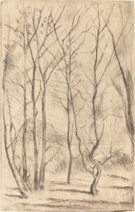 Il bosco della diga da James Abbott McNeill Whistler