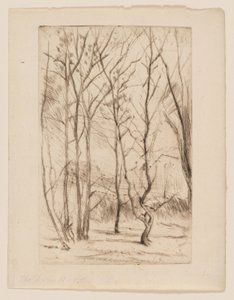 Il Bosco della Diga da James Abbott McNeill Whistler
