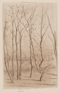 Il bosco della diga da James Abbott McNeill Whistler