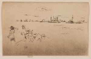 La flotta: Monitori