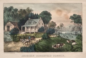 Fattoria americana, estate, 1869