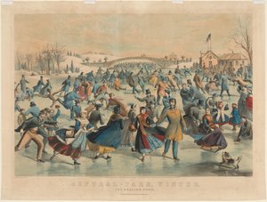 Central Park, inverno: Lo stagno del pattinaggio