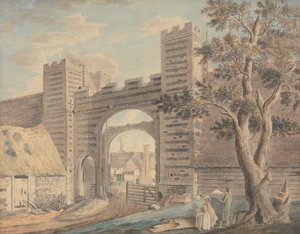 Fattoria di denti di leone, vicino a Margate da James Miller