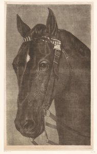Testa di un cavallo con briglie da James Newman Hodges