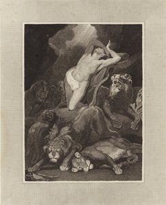 Daniele nella fossa dei leoni da James Northcote