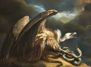 Avvoltoio e serpente da James Northcote