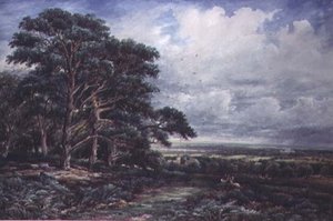 Bradgate Park vicino a Leicester da James Orrock