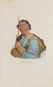 Un famoso capo Ottowa, da Il portafoglio aborigeno da James Otto Lewis