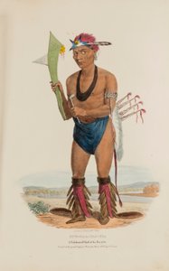 CUT-TAA-TAS-TIA; Un celebre capo della Tribù della Volpe, da The Aboriginal Portfolio da James Otto Lewis
