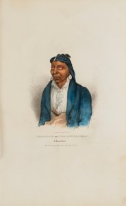 MO-WAN-ZA o Il piccolo lupo; un capo di Miami, da Il portafoglio degli aborigeni da James Otto Lewis