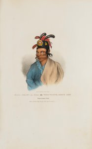 NAH-SHAW-A-GAA Il figlio del cane bianco, capo Pottawatomie, da Il portafoglio aborigeno da James Otto Lewis