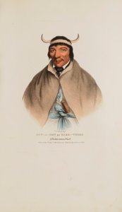 SUN-A-GET o tempi duri; un capo Pottawatomie, da Il portafoglio aborigeno da James Otto Lewis