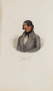 WAA-BA-SHAW; un famoso capo Sioux, da Il portafoglio aborigeno da James Otto Lewis