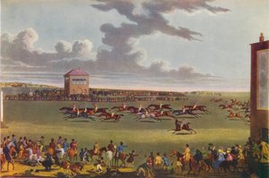 Corse di Newmarket, 1909 da James Pollard