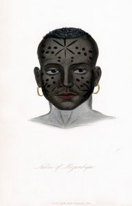 Nativo del Mozambico da James Prichard